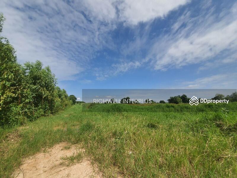 For Sale - Land for sale, Khao Hin Son, 94 rai, cheap price, near Road 304 - 2 km. Phanom Sarakham, Chachoengsao