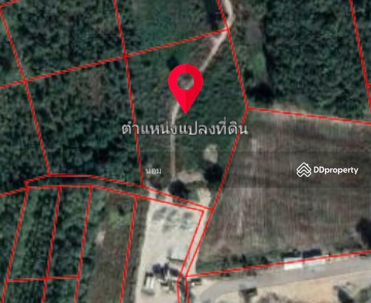 For Sale - ที่ดินเวียงสา น่าน, Nan
