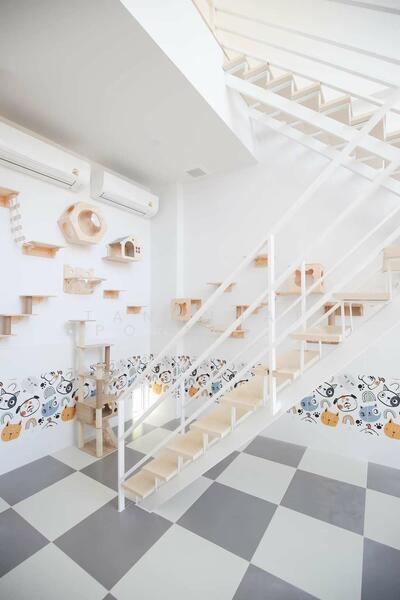 ขาย - Dr. Village โครงการด็อกเตอร์วิลเลจ เชียงใหม่, เชียงใหม่