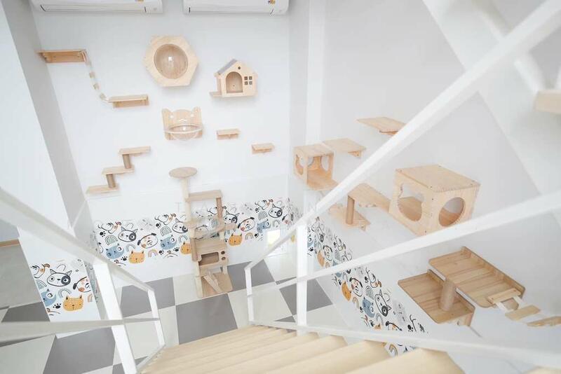 For Sale - Dr. Village โครงการด็อกเตอร์วิลเลจ เชียงใหม่, Chiang Mai