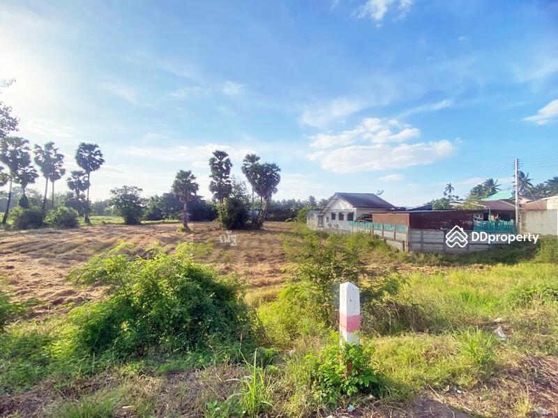 ขาย - ที่ดินนางรอง บุรีรัมย์, บุรีรัมย์