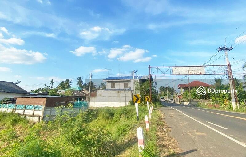 ขาย - ที่ดินนางรอง บุรีรัมย์, บุรีรัมย์