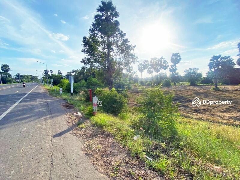 ขาย - ที่ดินนางรอง บุรีรัมย์, บุรีรัมย์