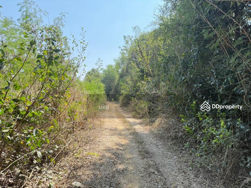 ขาย - ที่ดินสันกำแพง เชียงใหม่, เชียงใหม่