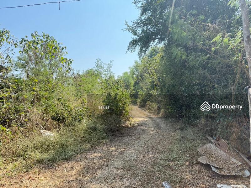 ขาย - ที่ดินสันกำแพง เชียงใหม่, เชียงใหม่