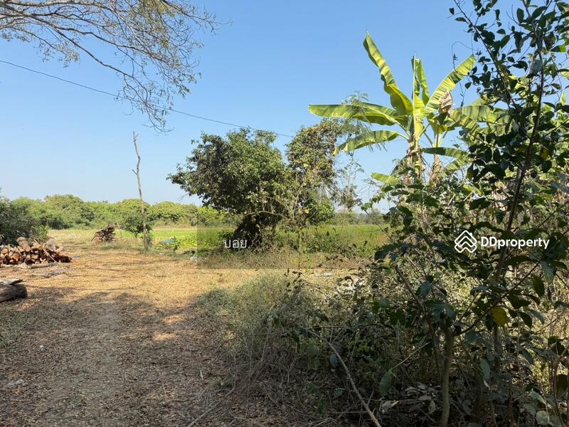 ขาย - ที่ดินสันกำแพง เชียงใหม่, เชียงใหม่