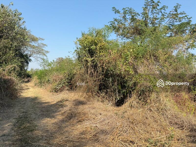 ขาย - ที่ดินสันกำแพง เชียงใหม่, เชียงใหม่