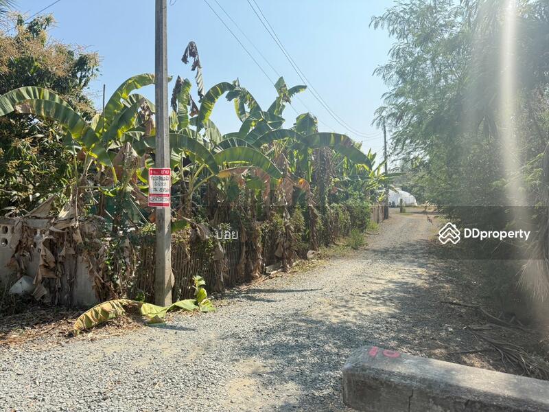 ขาย - ที่ดินสันกำแพง เชียงใหม่, เชียงใหม่
