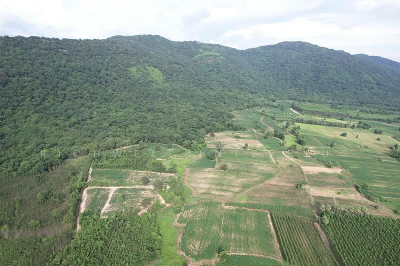 Land for sale in Kham Tanot, 7 rai, next to Khao Yai view, suitable for camping, Prachantakham, Prachin Buri, Kham Tanot, Prachantakham, Prachin Buri, , 12,756 sqm, Land For Sale, by RICHWELL INTERPLUS, 11772935 - DDproperty.com