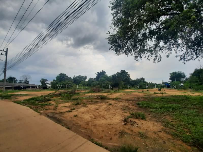 Land for sale in Tha Than, 65 sq m, on a concrete road, near the fresh market - 2.5 km, Chachoengsao, Tha Than, Phanom Sarakham, Chachoengsao, , 260 sqm, Land For Sale, by RICHWELL INTERPLUS, 11773303 - DDproperty.com