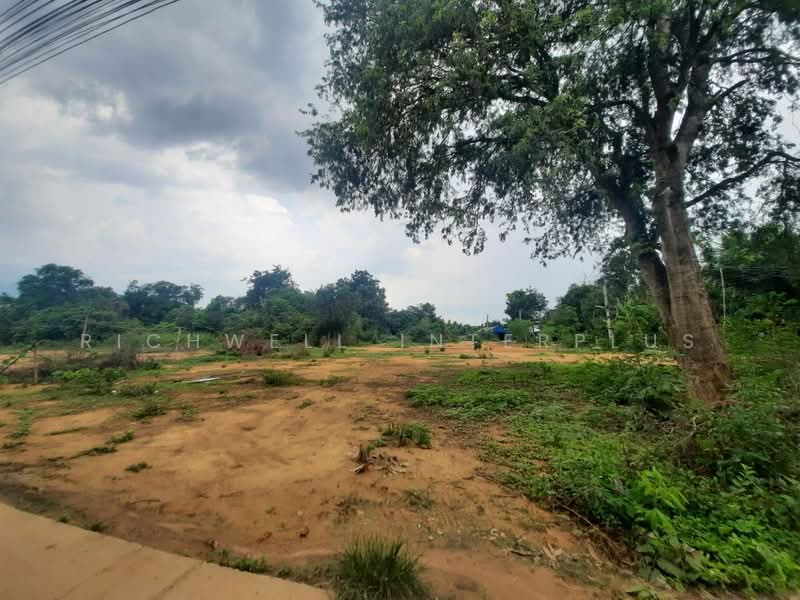 Land for sale in Tha Than, 65 sq m, on a concrete road, near the fresh market - 2.5 km, Chachoengsao, Tha Than, Phanom Sarakham, Chachoengsao, , 260 sqm, Land For Sale, by RICHWELL INTERPLUS, 11773303 - DDproperty.com