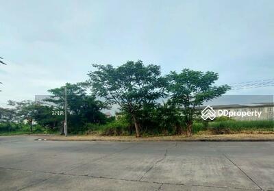 ขาย - หมู่บ้านวนารมย์ ฉลองกรุง24, กรุงเทพ