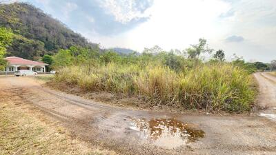 ขาย - ที่ดิน ภายในโครงการ เขาใหญ่ วนาลี รีสอร์ท, นครราชสีมา