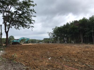 ขาย - ขายด่วน ที่ดินในป่าครองชีพ ภูเก็ต เนื้อที่ 24 ไร่ ขายเพียง 6.5 ล้านบาท, ภูเก็ต