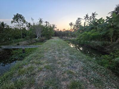 ขาย - ที่ดินพระประแดง สมุทรปราการ, สมุทรปราการ