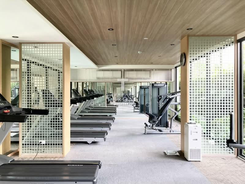 Chambers On-Nut Station, Bangkok, Soi Sukhumvit 81, Sukhumvit Road, Phra Kanong Nua, Watthana, Bangkok, 1 Bedroom, 30 sqm, Condo For Rent, by CS Poon, 11775202 - DDproperty.com