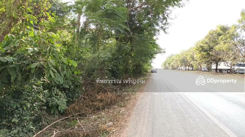 For Sale - Beautiful land on main road in Udornthani, 22-2-20 rai (36,080 sqm.) 36 MB. only, Nakhon Ratchasima