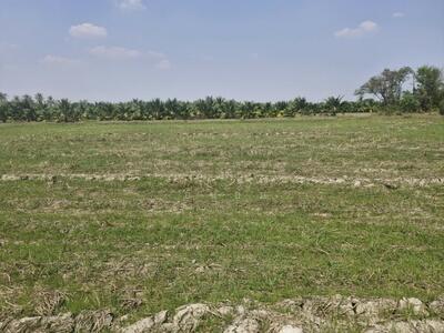 ขาย - ที่ดินโพธาราม ราชบุรี, ราชบุรี