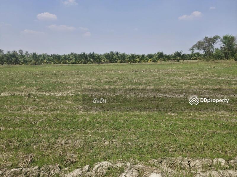 ขาย - ที่ดินโพธาราม ราชบุรี, ราชบุรี