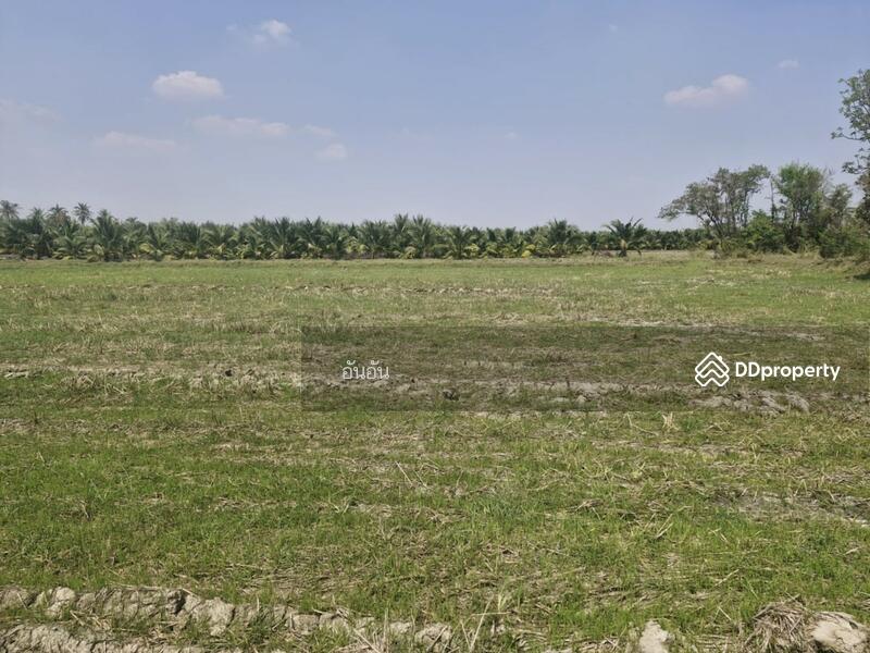 ขาย - ที่ดินโพธาราม ราชบุรี, ราชบุรี
