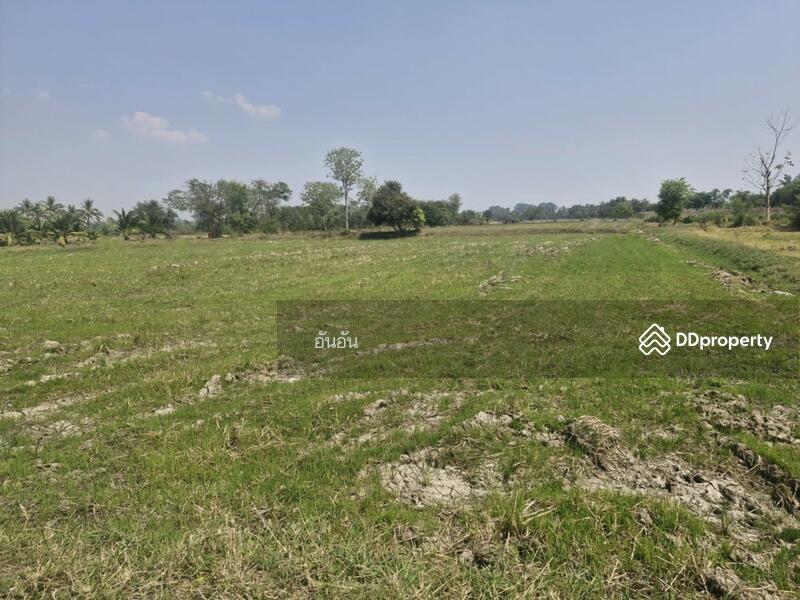 ขาย - ที่ดินโพธาราม ราชบุรี, ราชบุรี