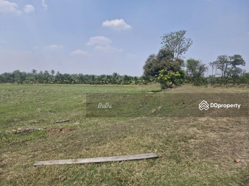 ขาย - ที่ดินโพธาราม ราชบุรี, ราชบุรี