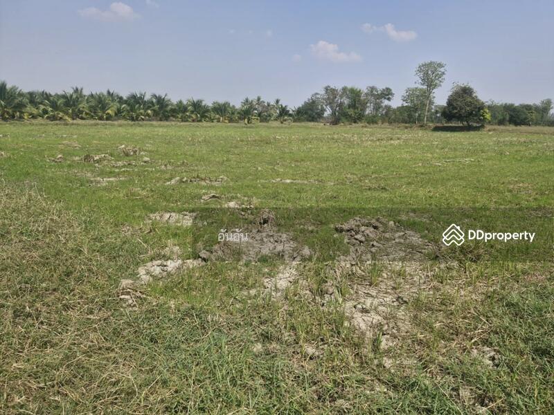 ขาย - ที่ดินโพธาราม ราชบุรี, ราชบุรี
