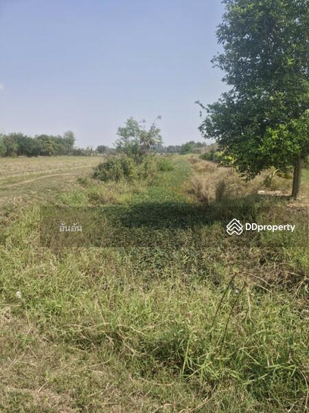 ขาย - ที่ดินโพธาราม ราชบุรี, ราชบุรี