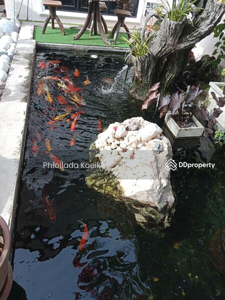 ขาย - 4-Br Villa close to Hua Hin City (2037455), ประจวบคีรีขันธ์