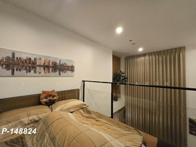 ให้เช่า - IDEO Mobi Grand Interchange Bangsue : ไอดีโอ โมบิ แกรนด์ อินเตอร์เชนจ์ บางซื่อ, กรุงเทพ