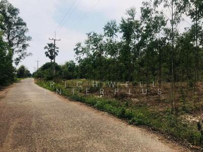 ขาย - ขายที่ดินลาดตะเคียน 4 ไร่ ติดถนนคอนกรีตใกล้ถนนเส้น3079-11กม. อ.กบินทร์บุรี ปราจีนบุรี, ปราจีนบุรี