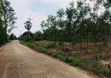 ขายที่ดินลาดตะเคียน 4 ไร่ ติดถนนคอนกรีตใกล้ถนนเส้น3079-11กม. อ.กบินทร์บุรี ปราจีนบุรี - DDproperty.com