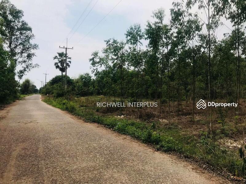 For Sale - For Sale: Land in Lat Takian, Kabinburi, Prachinburi 4 Rai., Prachin Buri