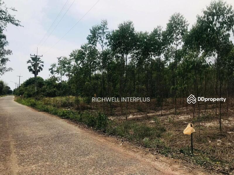 For Sale - For Sale: Land in Lat Takian, Kabinburi, Prachinburi 4 Rai., Prachin Buri