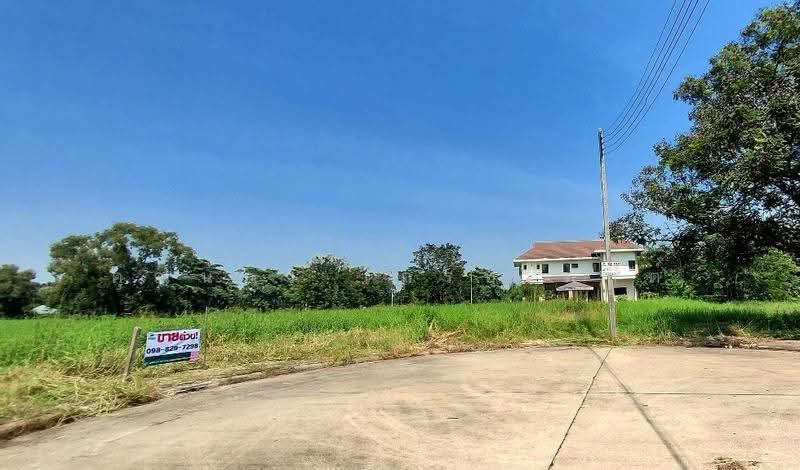 เดอะลากูน สามโคก, pathum-thani, ปทุมธานี สามโคก, Thai Ko, Sam Khok, Pathum Thani, , 1,184 sqm, Land For Sale, by คุณน้อง เกรทเทสต์, 11776655 - DDproperty.com