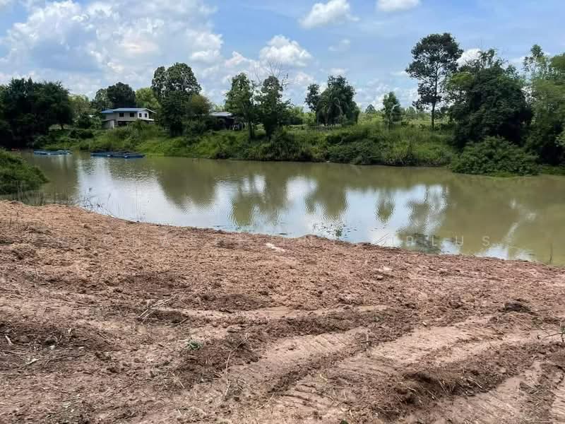 For sale: Land in Wangdal, filled and located along Tha Sao Canal 200 square wah, Kabinburi., Prachin Buri, Wang Dan, Kabin Buri, Prachin Buri, , 800 sqm, Land For Sale, by RICHWELL INTERPLUS, 11776747 - DDproperty.com