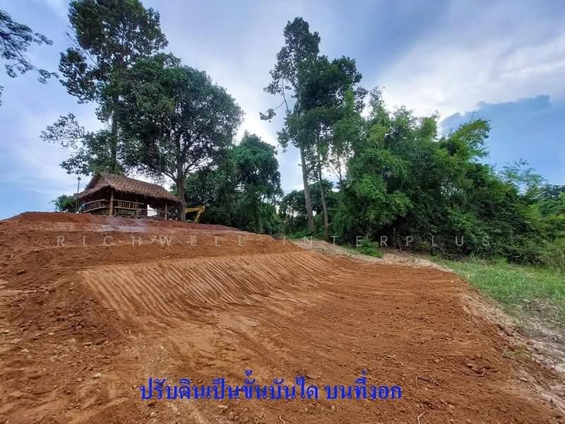 For sale: Land in Wangdal, filled and located along Tha Sao Canal 200 square wah, Kabinburi., Prachin Buri, Wang Dan, Kabin Buri, Prachin Buri, , 800 sqm, Land For Sale, by RICHWELL INTERPLUS, 11776747 - DDproperty.com