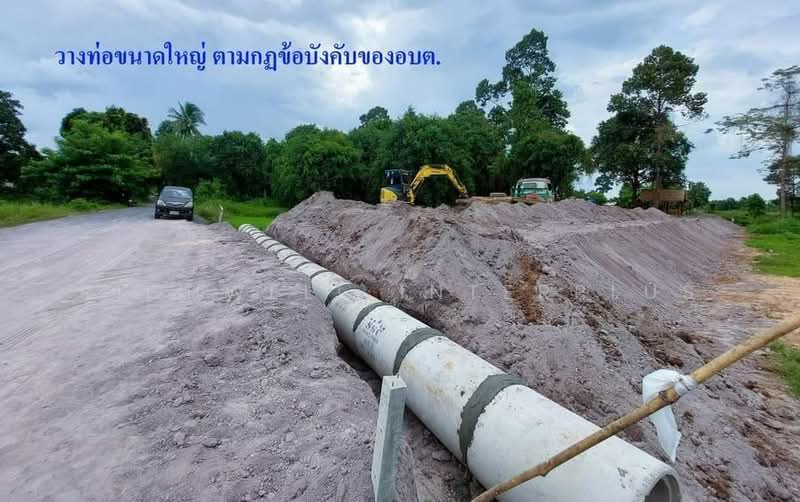 For sale: Land in Wangdal, filled and located along Tha Sao Canal 200 square wah, Kabinburi., Prachin Buri, Wang Dan, Kabin Buri, Prachin Buri, , 800 sqm, Land For Sale, by RICHWELL INTERPLUS, 11776747 - DDproperty.com