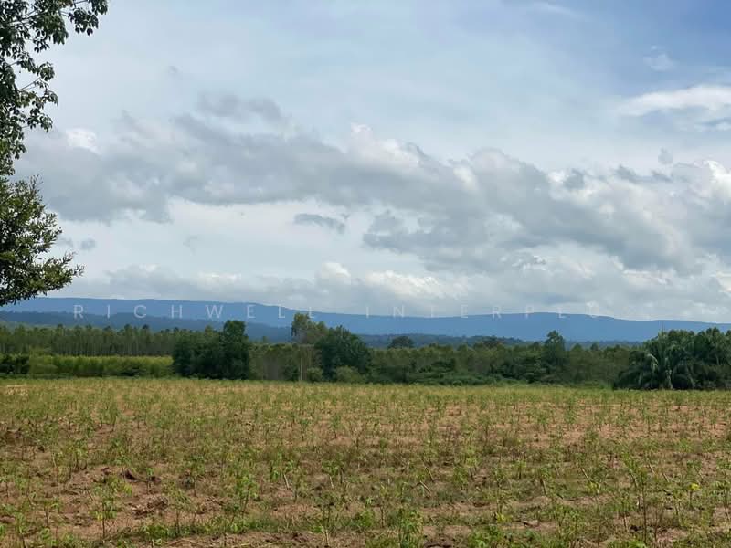 For Sale - For sale: Land in Kaeng Din So, 26 rai, located by the canal, Nadi District, Prachinburi., Prachin Buri