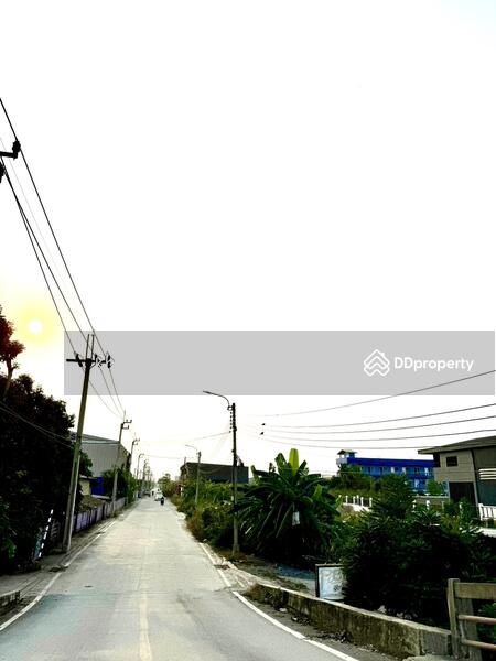 ให้เช่า - บางกะปิ, กรุงเทพ