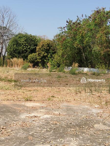 For Sale - พระยืน ขอนแก่น, Khon Kaen