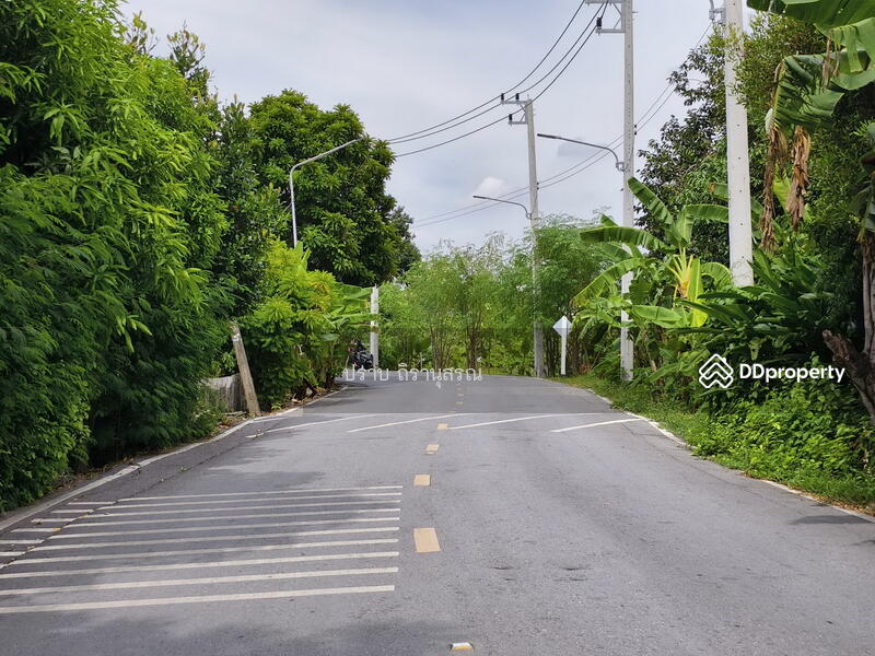 ขาย - ปทุมธานี, ปทุมธานี