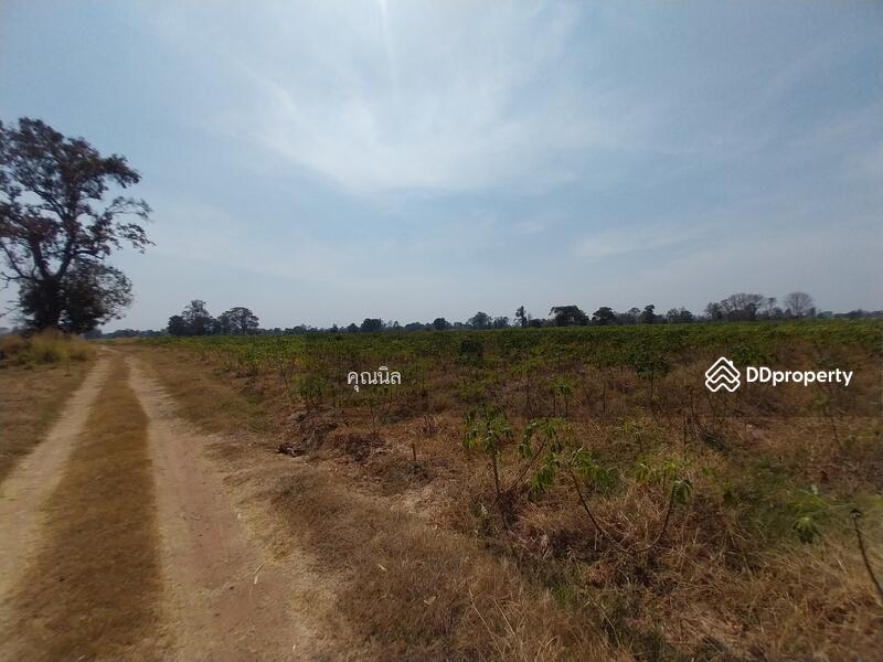 ขาย - ที่ดินใกล้โรงพยาบาลขามทะเลสอ อำเภอขามทะเลสอ นครราชสีมา, นครราชสีมา
