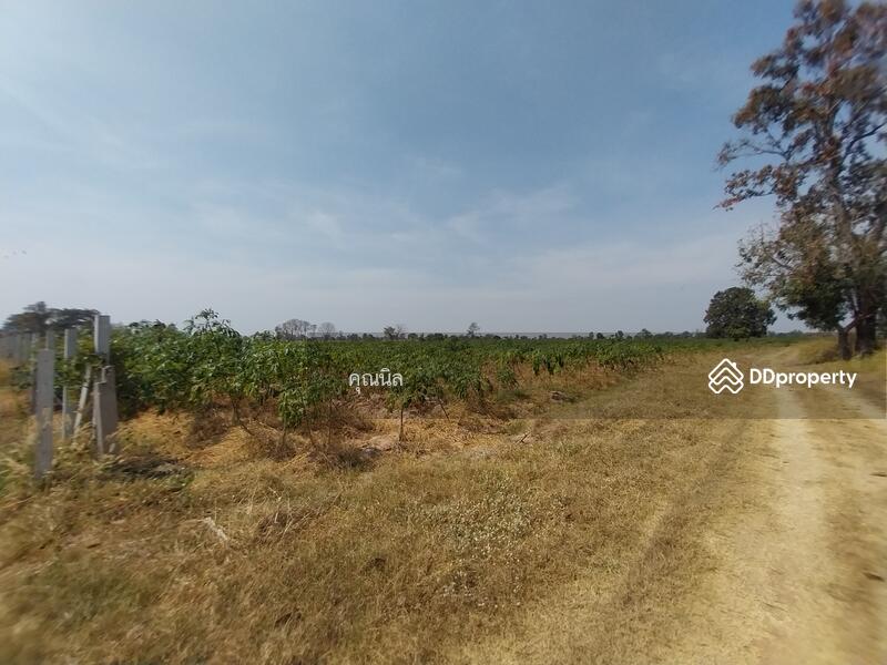 ขาย - ที่ดินใกล้โรงพยาบาลขามทะเลสอ อำเภอขามทะเลสอ นครราชสีมา, นครราชสีมา