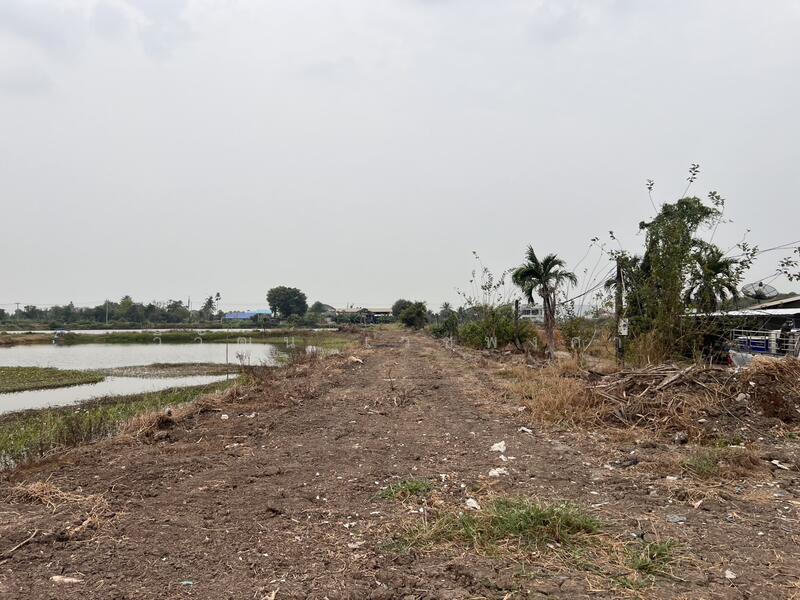 Land for sale, 25460sq.m., located on the main road (Suwinthawong 92), Bangkok, Lam Phak Chi, Nong Chok, Bangkok, , 25,460 sqm, Land For Sale, by วิวัฒน์ เวชพงศา, 11777617 - DDproperty.com