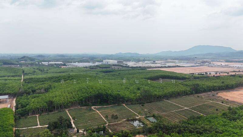 ขาย - ขายที่ดินสีม่วงลาย 200 ไร่ ระยอง แบ่งได้, ระยอง