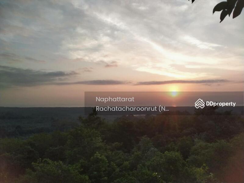 For Sale - Hot spring land, Surat Thani, Surat Thani