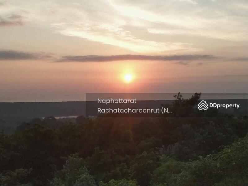 For Sale - Hot spring land, Surat Thani, Surat Thani