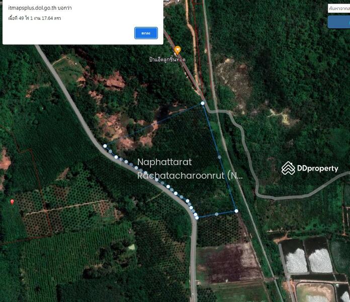 For Sale - Hot spring land, Surat Thani, Surat Thani