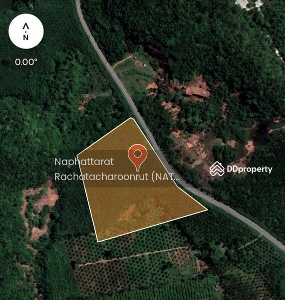 For Sale - Hot spring land, Surat Thani, Surat Thani